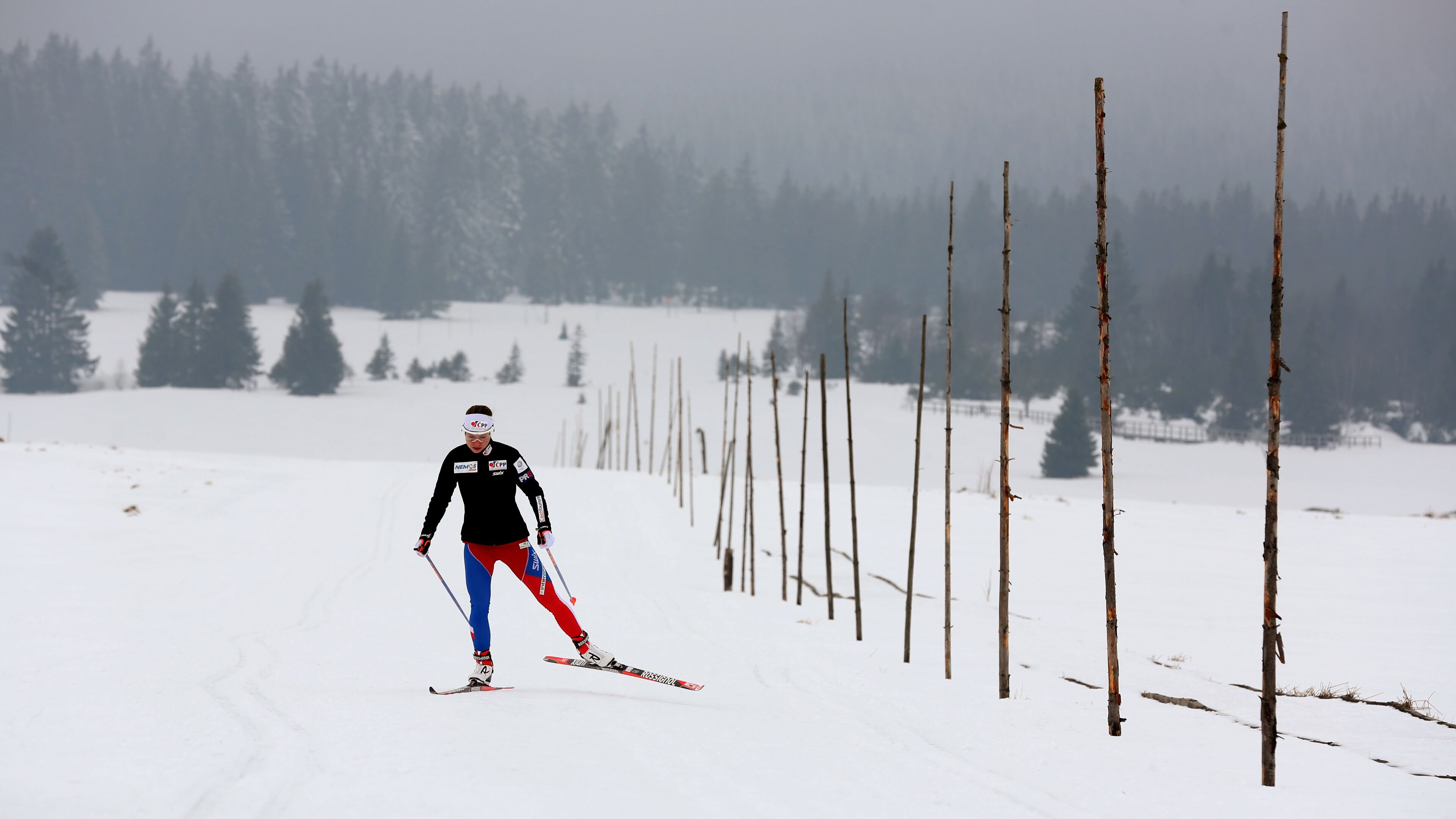 Une personne fait du ski sur une pente enneigée, avec une forêt en arrière-plan.
