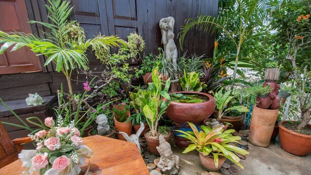 Un jardin agrémenté de différentes plantes en pot et d’une statue.
