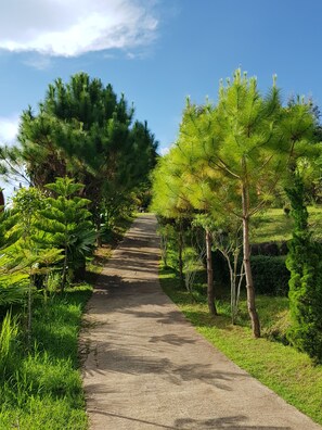 Garden - Ban Mae Resort (Khao Kho)