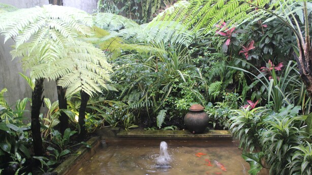 A small water feature with a fountain in a lush garden setting. - Buton Backpaker Lodge - Hostel (Bandung)