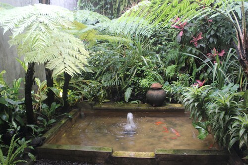 Buton Backpaker Lodge - Hostel