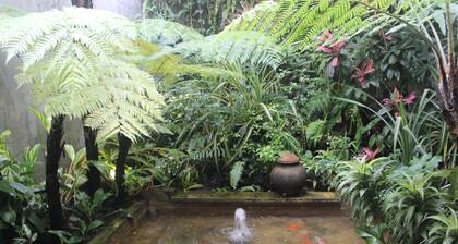 Buton Backpaker Lodge - Hostel