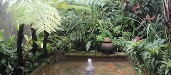 Buton Backpaker Lodge - Hostel