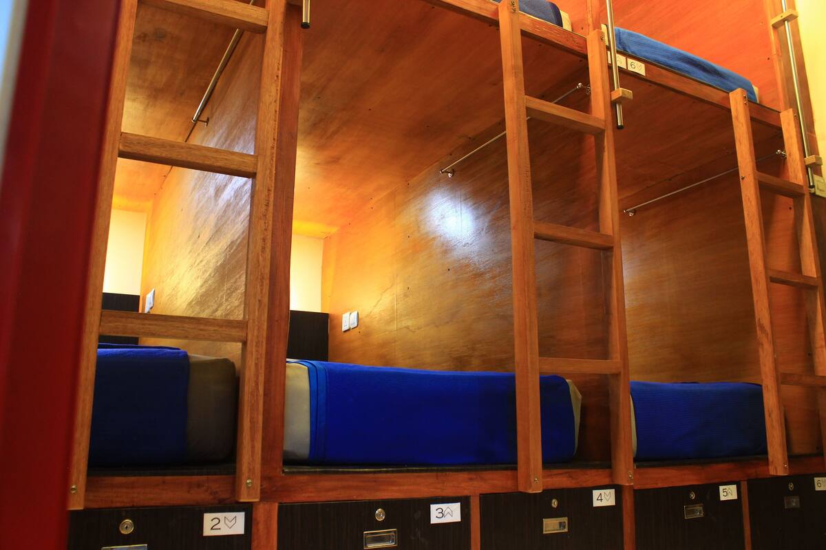 Una fila de literas de madera con ropa de cama azul, cada una identificada con un número.