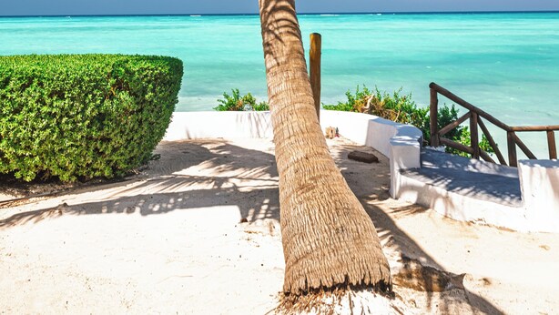 A palm tree with a clear view of the turquoise ocean and a sandy beach area. - Tanzanite Beach Resort (Nungwi)