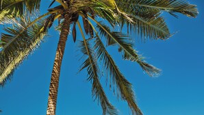 A beach with a white structure, palm trees, and clear blue sky. - Tanzanite Beach Resort (Nungwi)