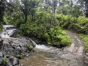 Una cascada natural rodeada de abundante follaje verde.