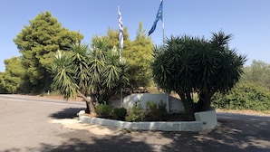 A roadside with a white curb, a flagpole with two flags, and a variety of trees and shrubs. - Hotel Paradise (Oropos)