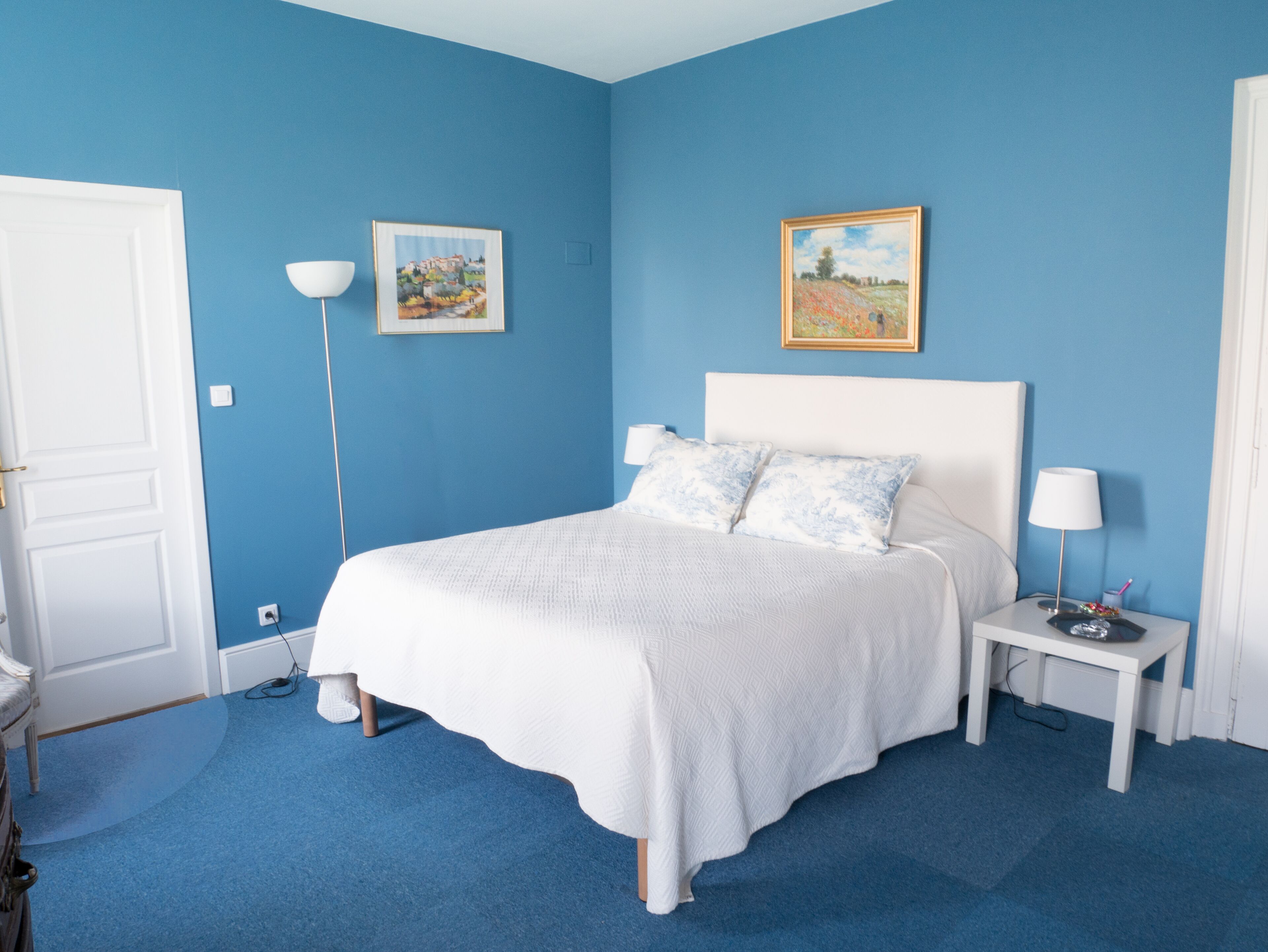 Deluxe Double Room, Private Bathroom, Park View (Chambre Bleue )