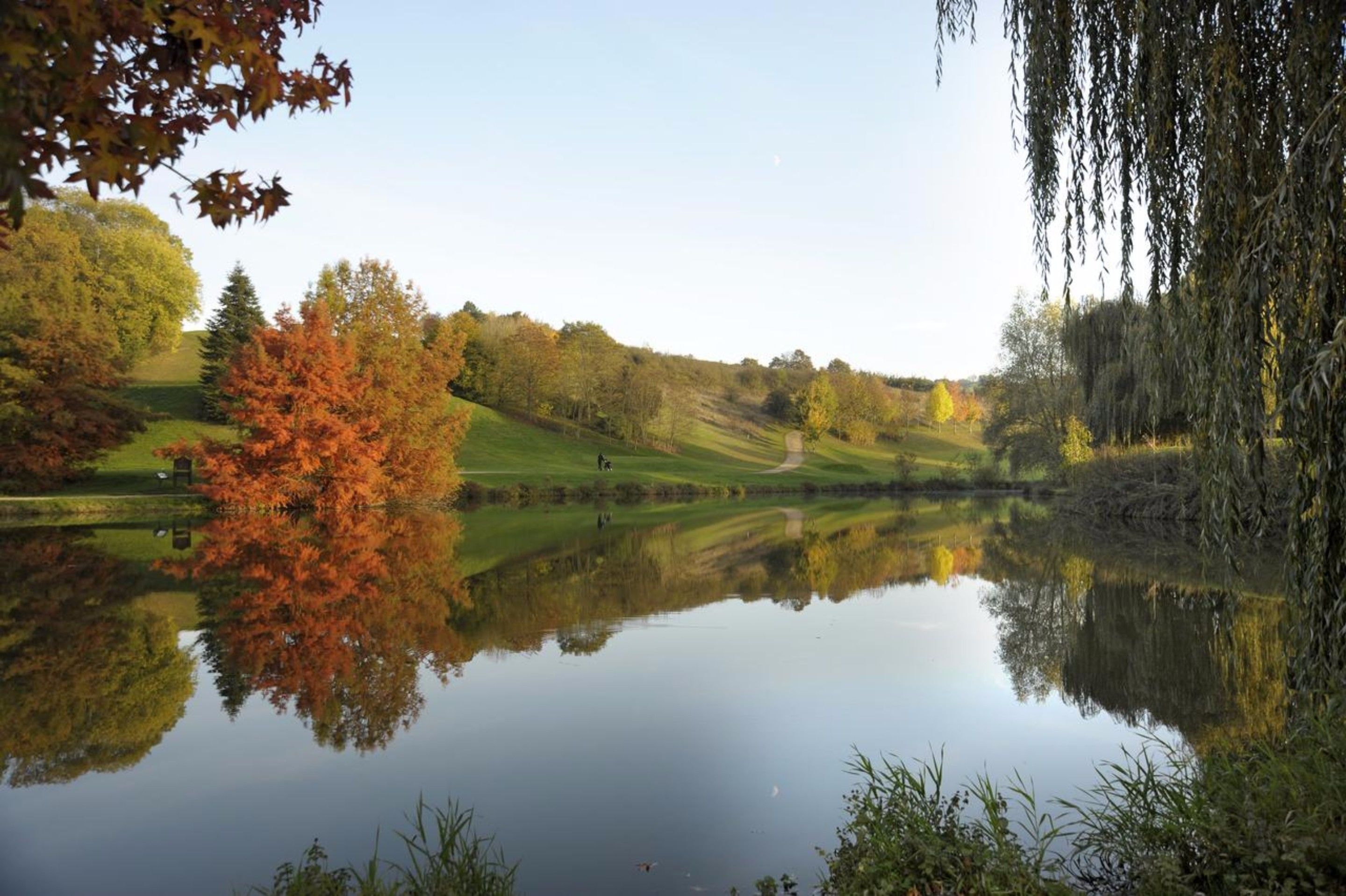 A serene landscape with a pond reflecting trees and a golf course in the background.