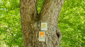 Un tronc d’arbre auquel sont fixées deux pancartes.
