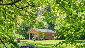 Een houten chalet met een veranda, omringd door weelderige begroeiing en een gazon.