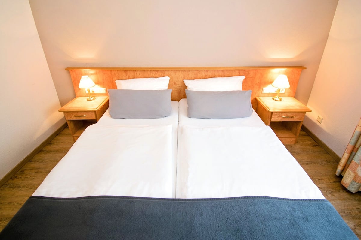 double room | 1 bedroom, desk, iron/ironing board, cots/infant beds