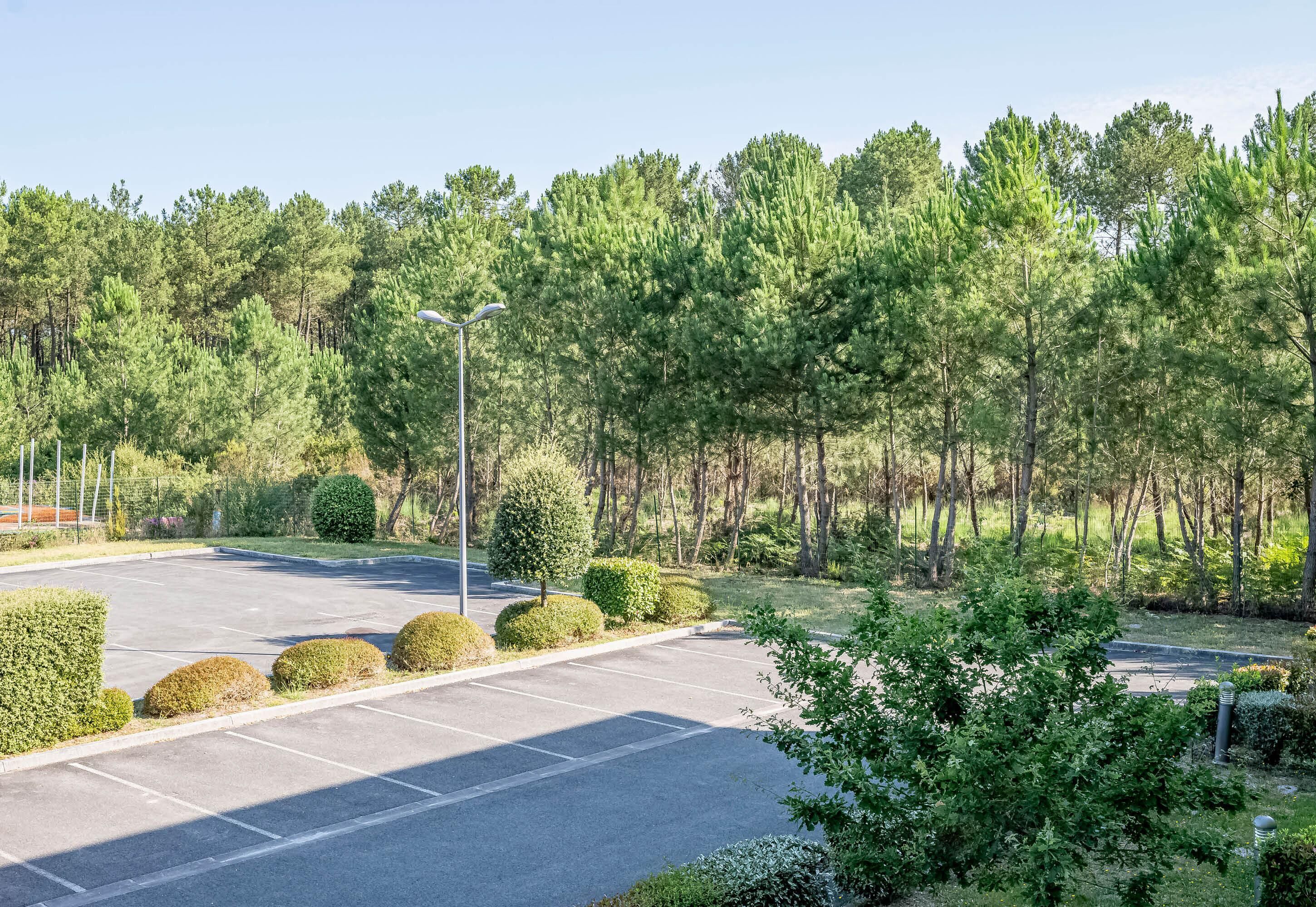 Een parkeerplaats met keurig geknipte hagen en een rij bomen op de achtergrond.