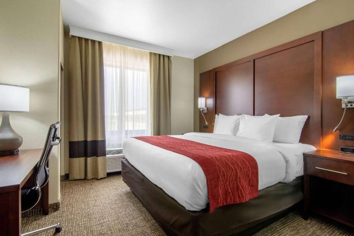 A hotel room with a bed, bedside table, lamp, chair, and a view of the outdoors through the window.