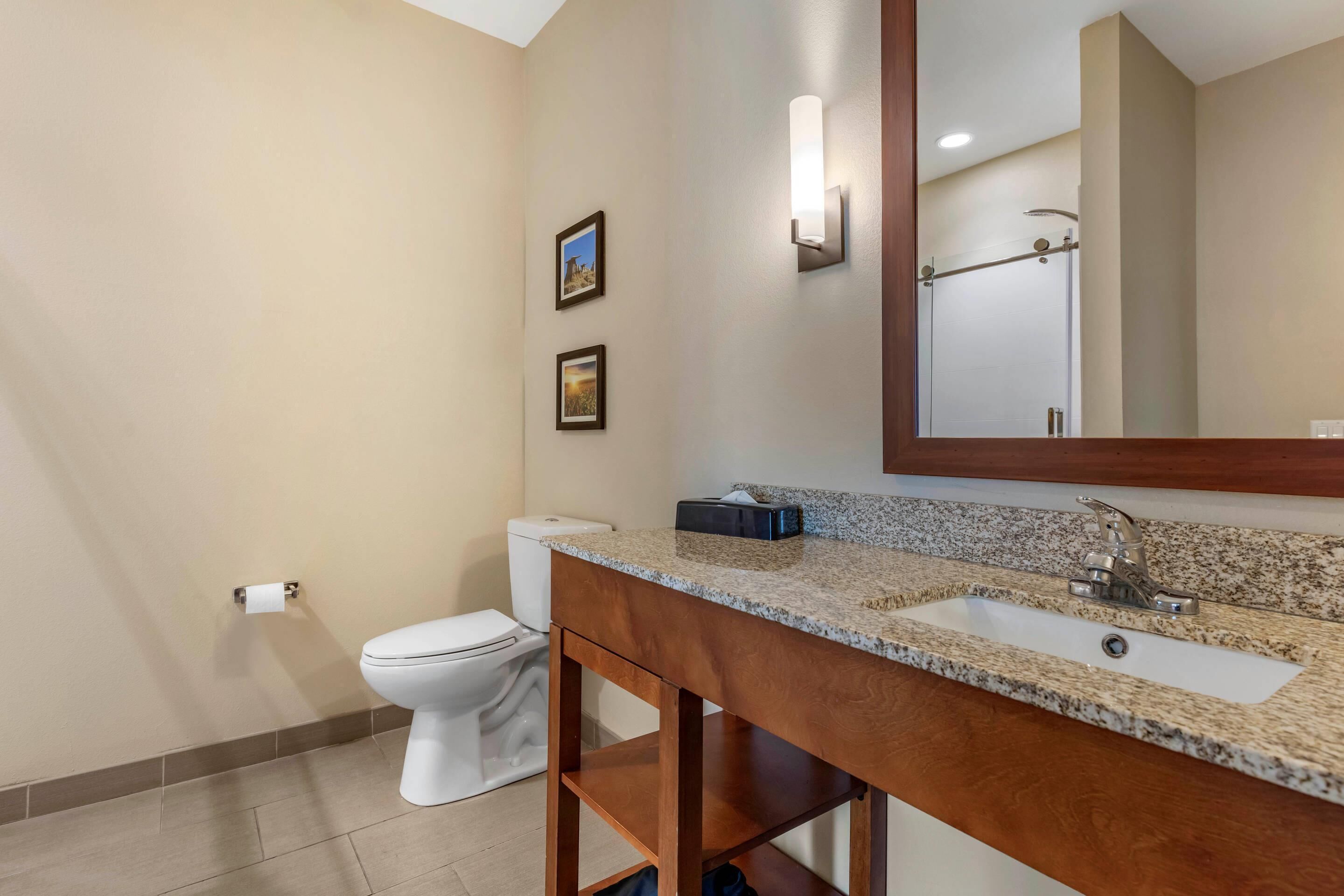Une salle de bain avec des toilettes, un lavabo et un miroir.