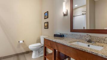 Une salle de bain avec des toilettes, un lavabo et un miroir.