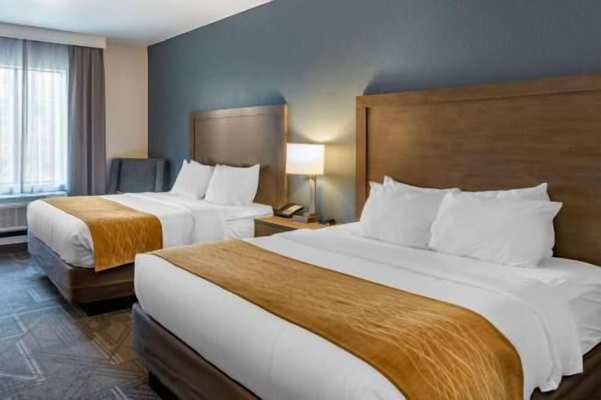 Premium bedding, pillowtop beds, in-room safe, desk