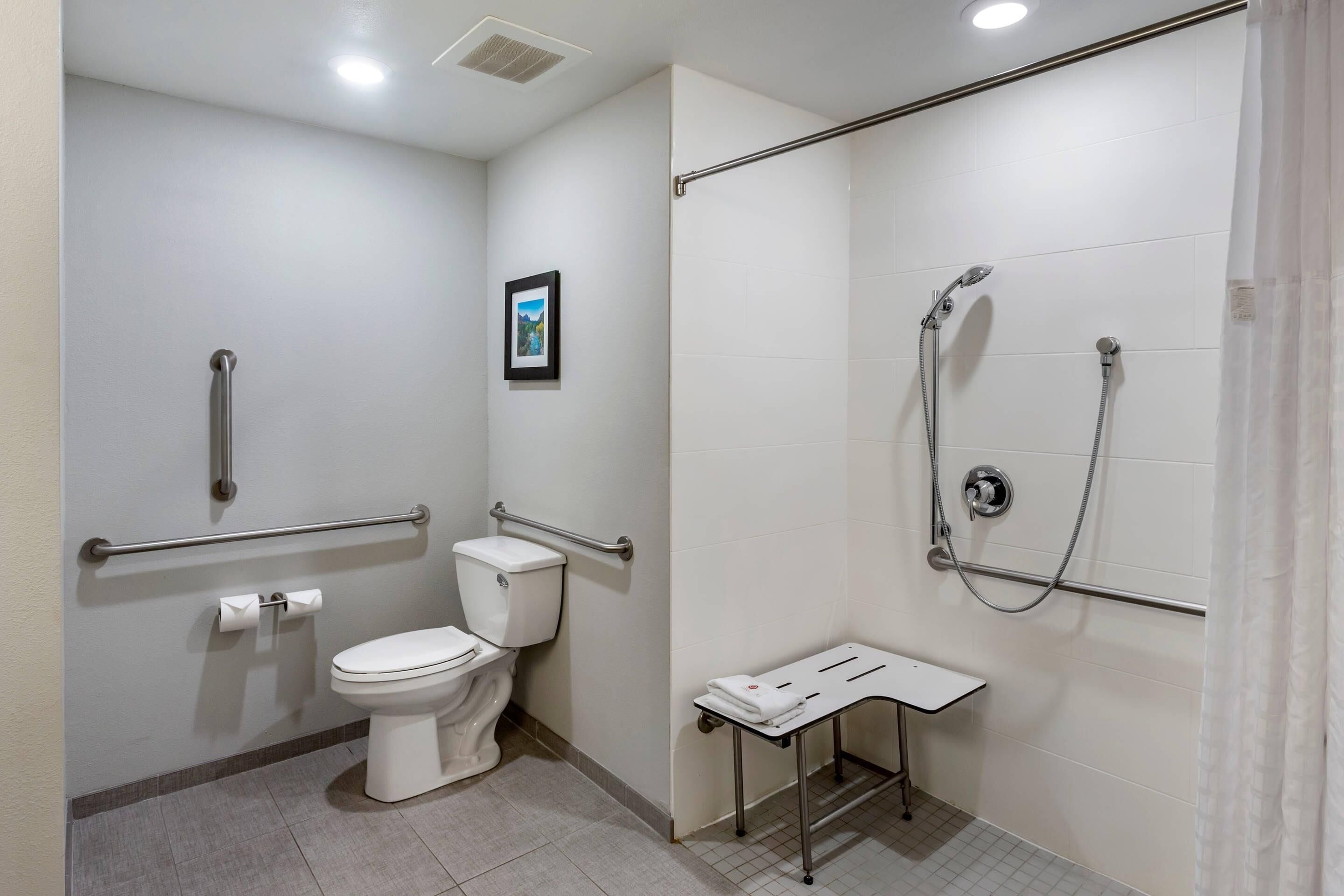 A bathroom with a toilet, a shower, and a grab bar.