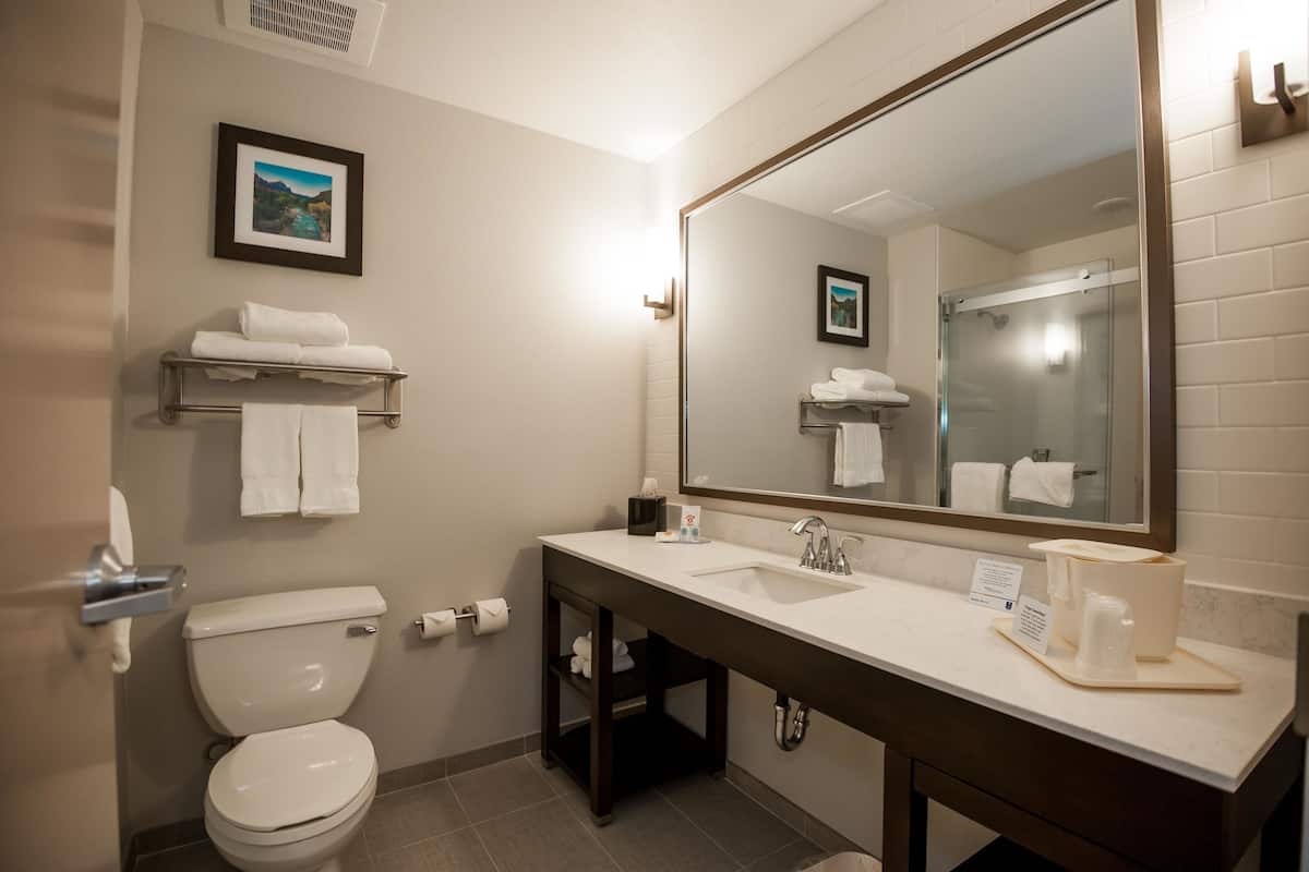 free toiletries, hair dryer, towels, soap