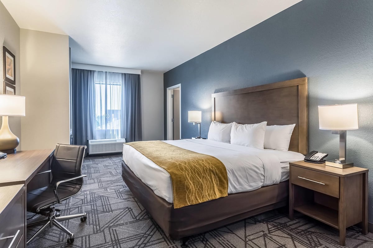 Une chambre d’hôtel avec un grand lit, un bureau avec une chaise, une table de chevet avec une lampe et une fenêtre avec des rideaux.