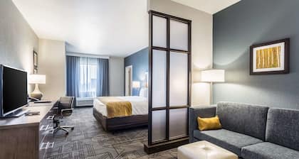 Comfort Inn & Suites Salt Lake City Airport