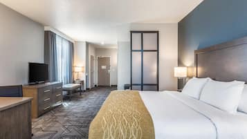 A hotel room with a large bed, a desk, a television, and a window with curtains.