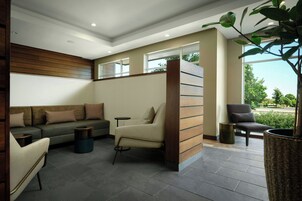 Uma sala de estar moderna com um sofá seccional, uma poltrona, uma mesa pequena e uma grande planta em vaso.