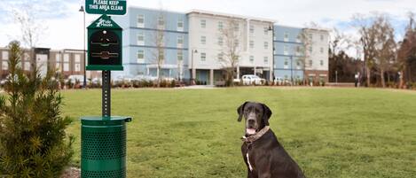 A dog sitting on grass next to a pet waste station with a building in the background.