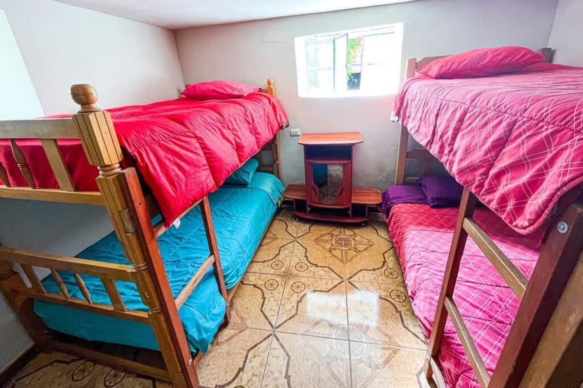 A dormitory room with bunk beds, a small table, and a window.
