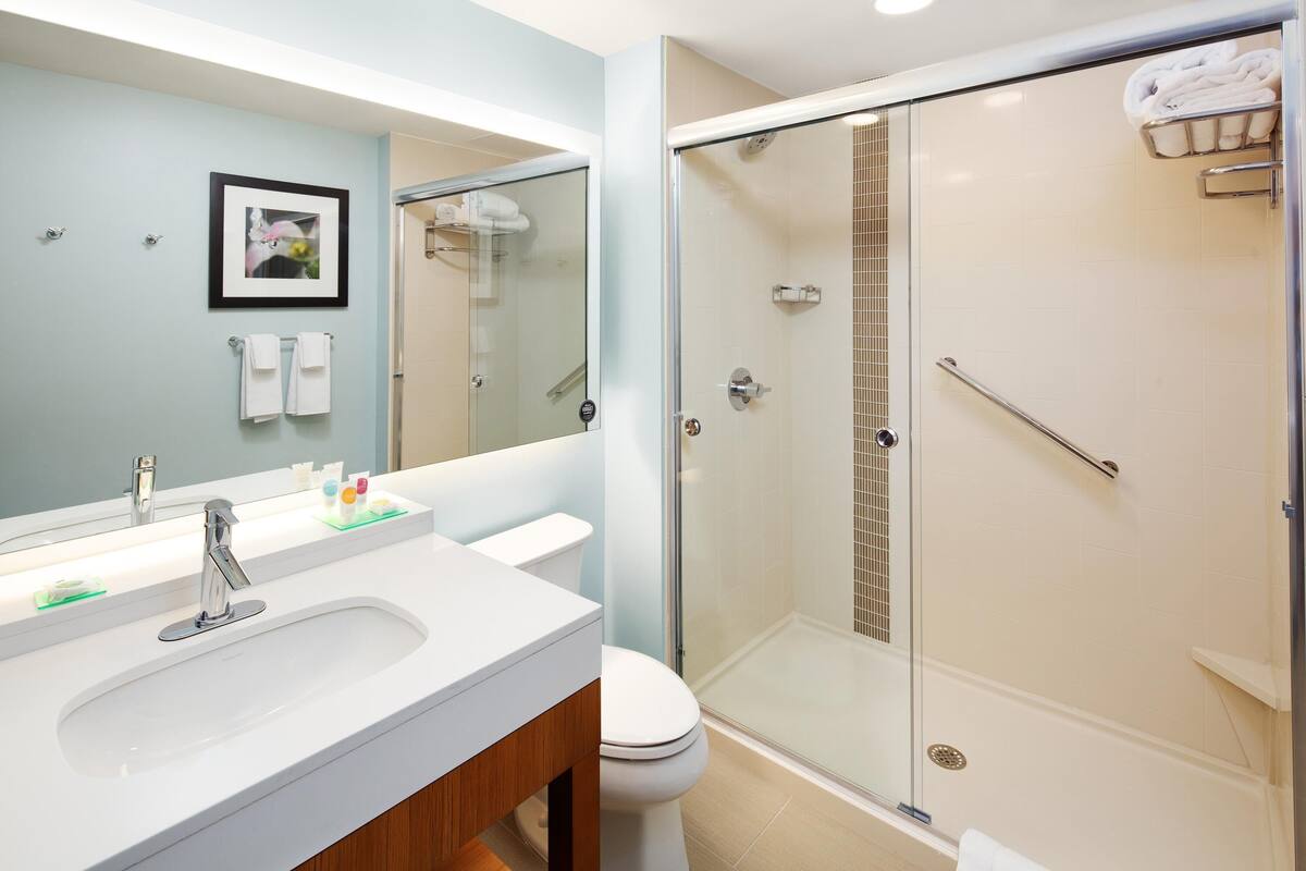 free toiletries, hair dryer, towels, soap