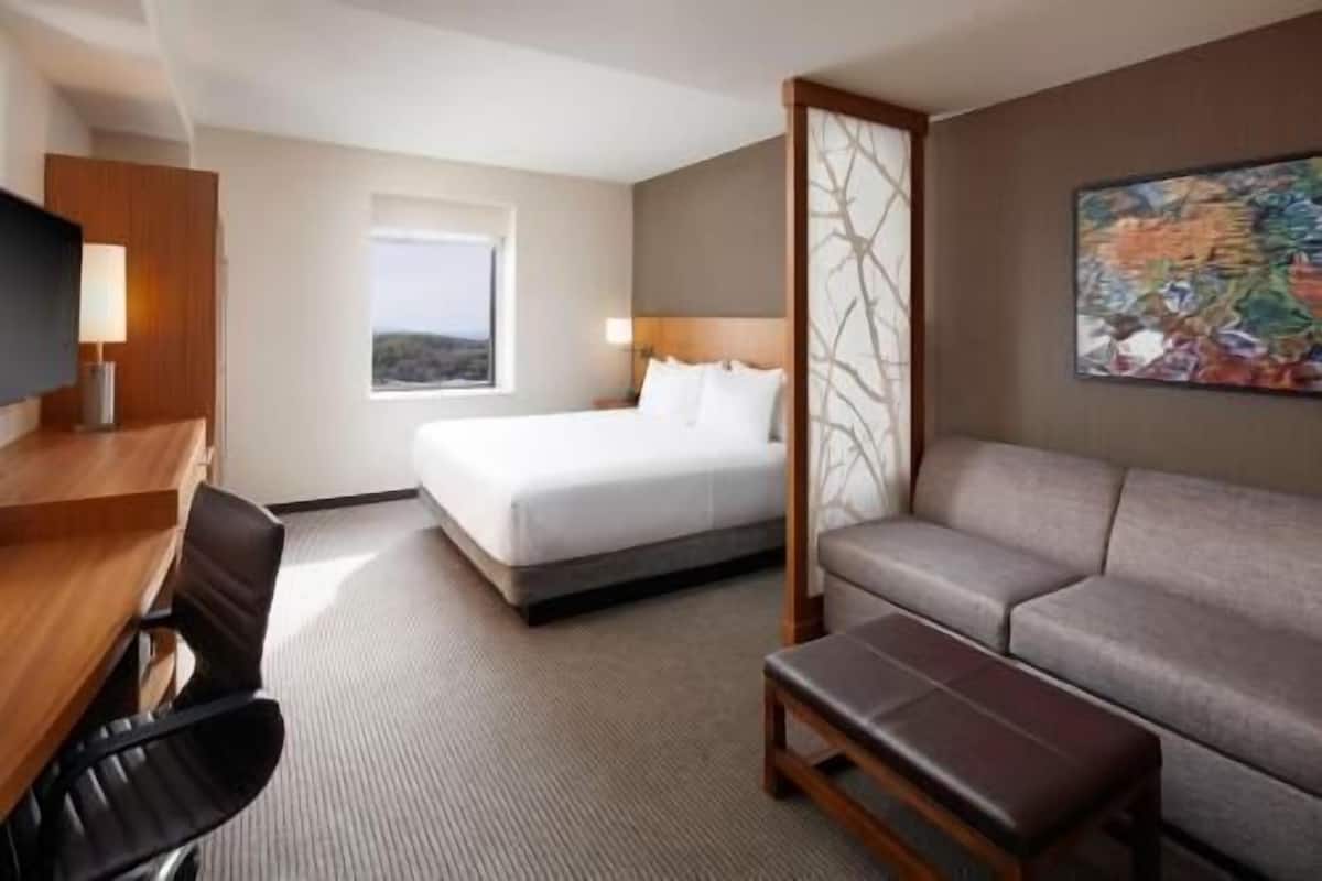 A hotel room with a bed, a sofa, a desk, and a TV.