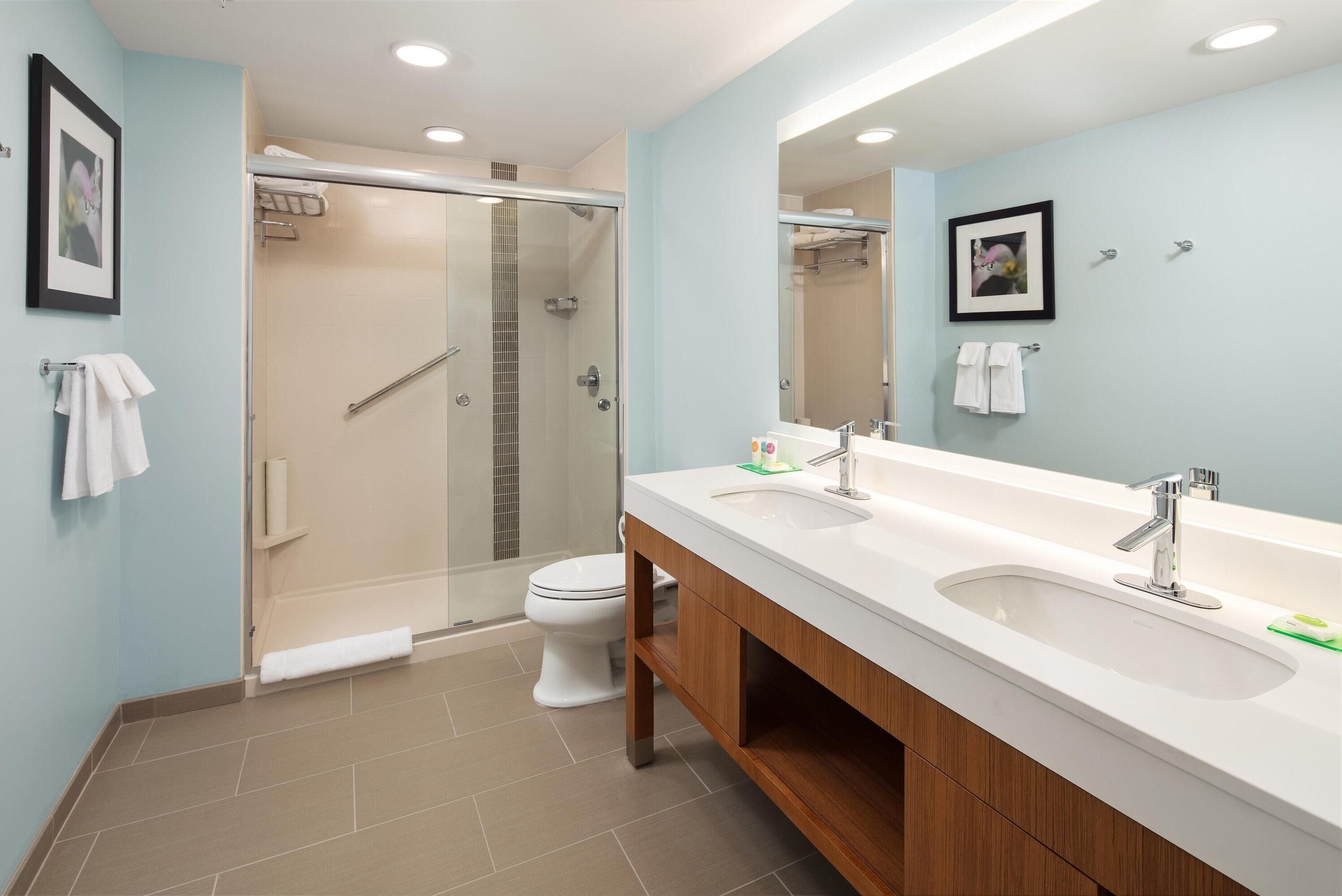 suite, 1 king bed with sofa bed (1 bedroom) | bathroom | free toiletries, hair dryer, towels, soap