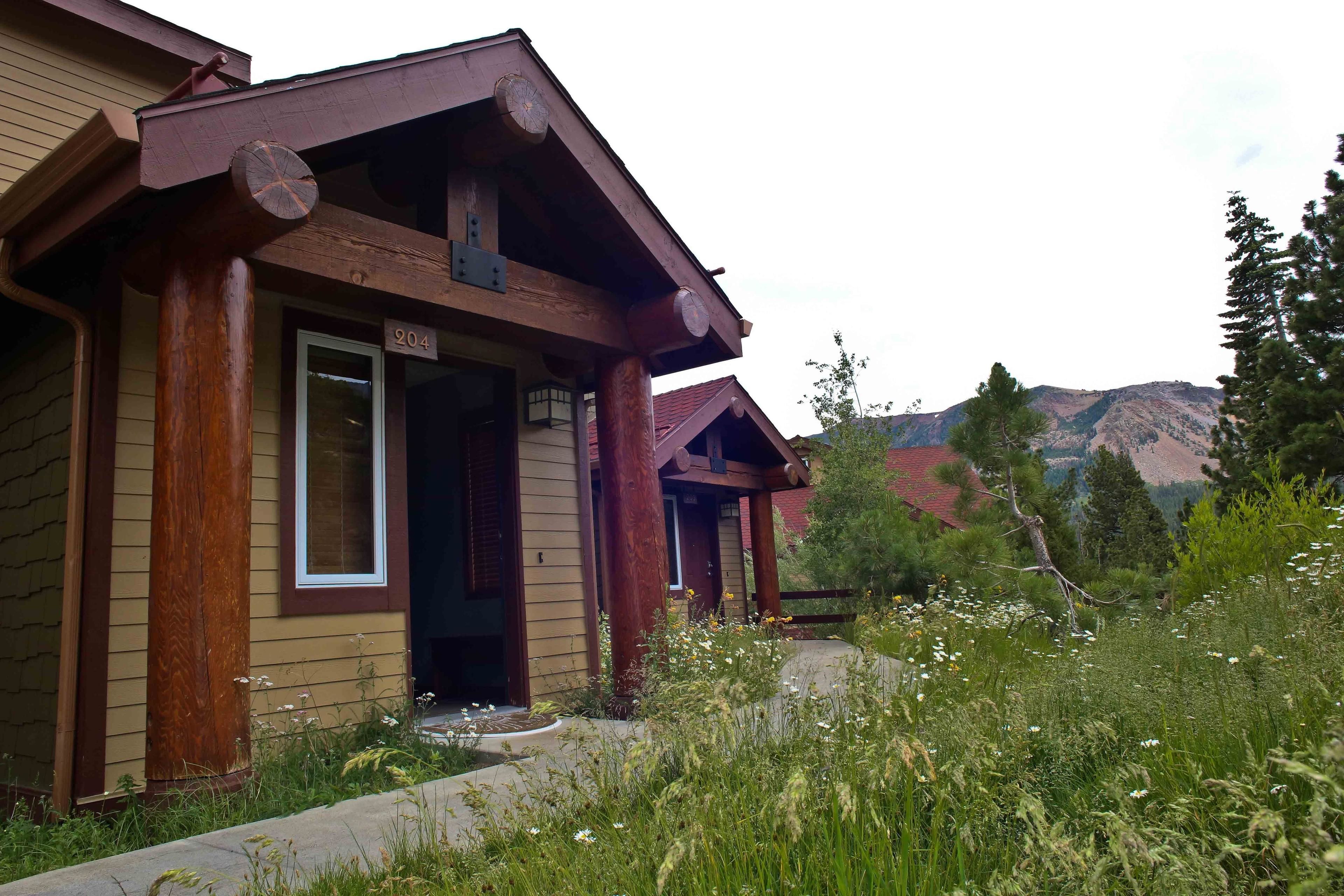 A rustic wooden house with a number '204' on the door, surrounded by a natural landscape.