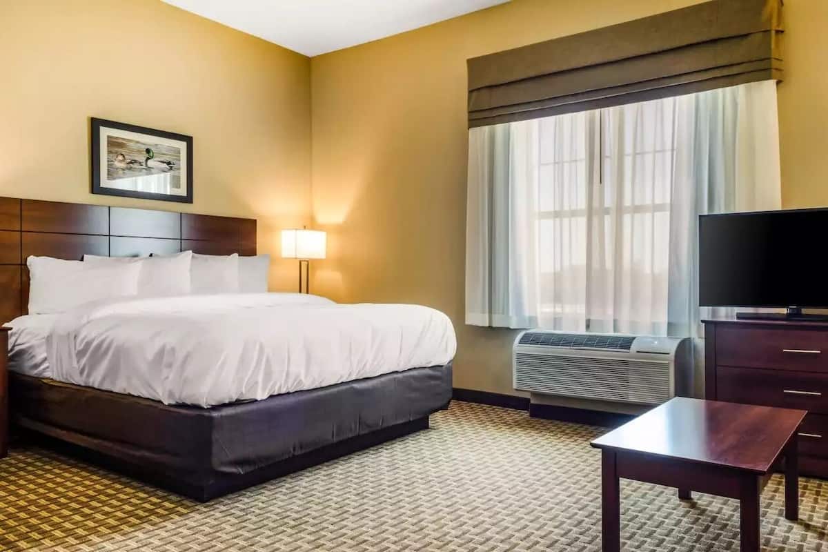 Ropa de cama de alta calidad y escritorio