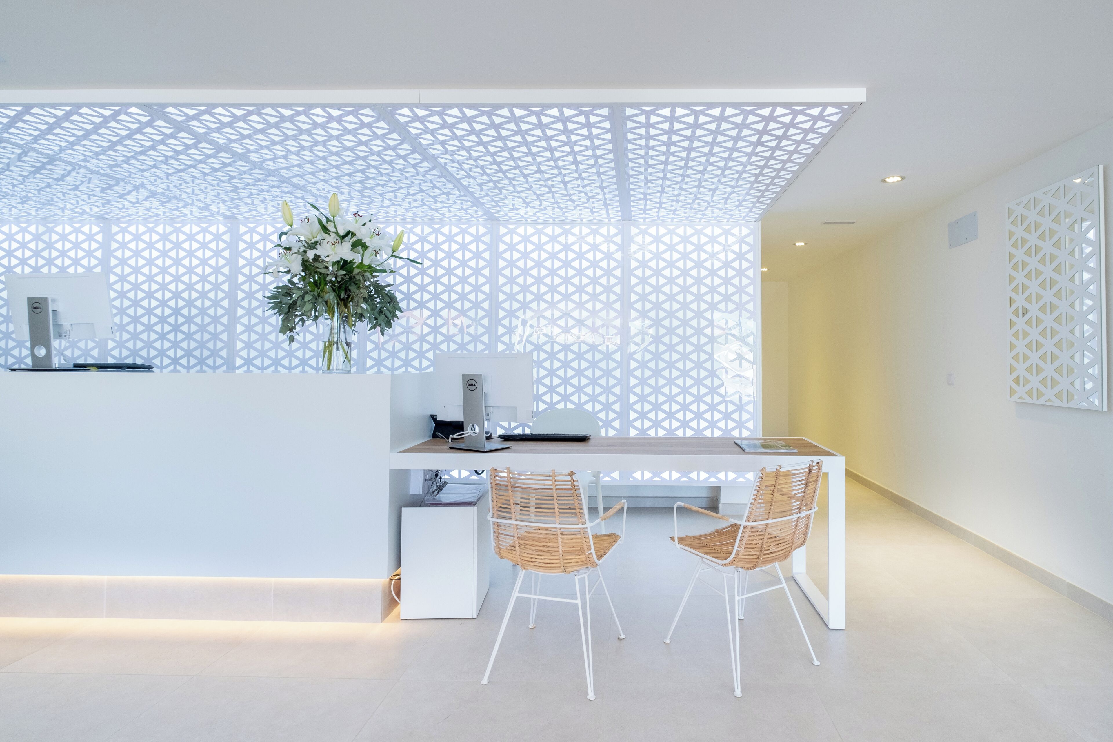A modern reception area with a white desk, two wicker chairs, a potted plant, and a decorative white lattice ceiling.