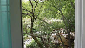 Habitació | Vista des de l'habitació