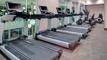 A row of treadmills with digital screens, arranged in a gym with large windows and a carpeted floor.