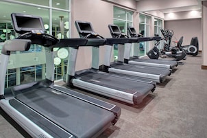 Varias caminadoras con pantallas digitales, dispuestas en un gimnasio con ventanas amplias y piso alfombrado.