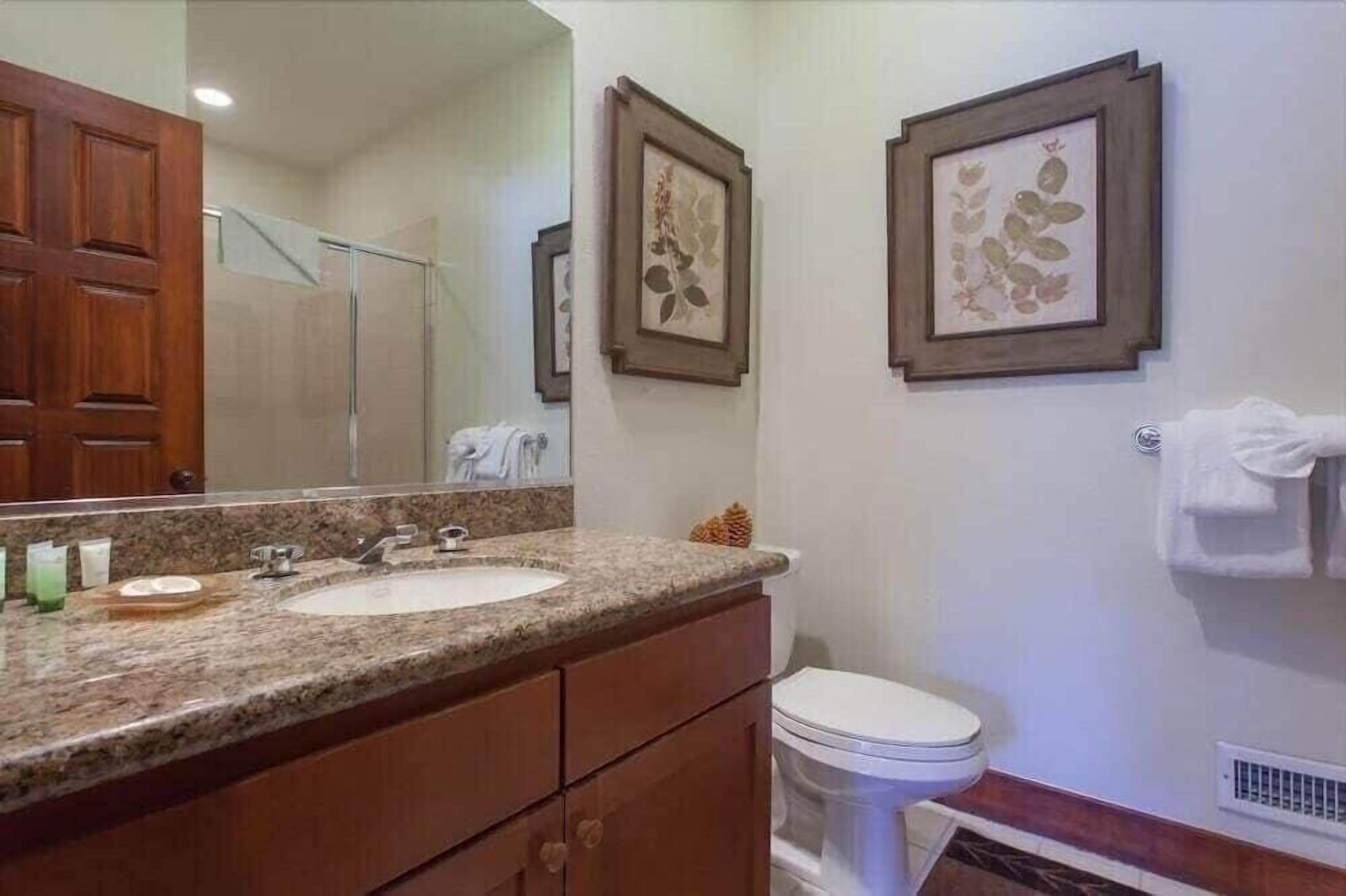 A bathroom with a granite countertop sink, wooden cabinets, a white toilet, and framed floral artwork on the walls.