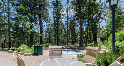 Mammoth Green 105