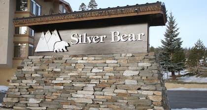 Silver Bear 36