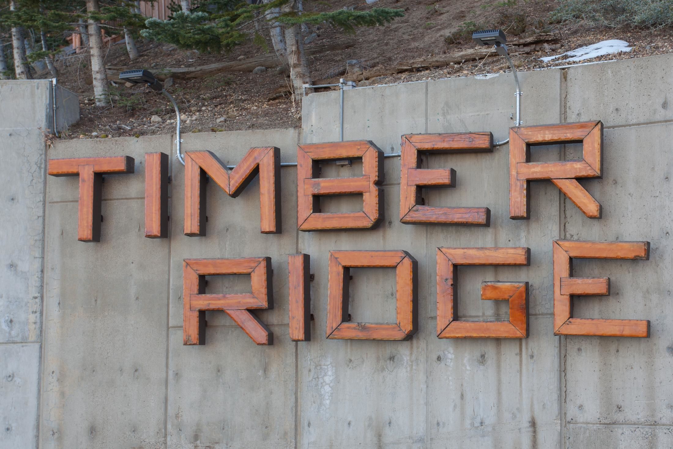 Appartement, 2 slaapkamers, uitzicht op bergen (Timber Ridge #11) | Vichydouche