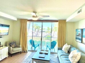 Smart TV, DVD player, books