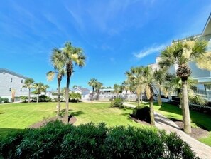 A well-maintained lawn with palm trees and a pathway leading to a building.