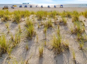 On the beach