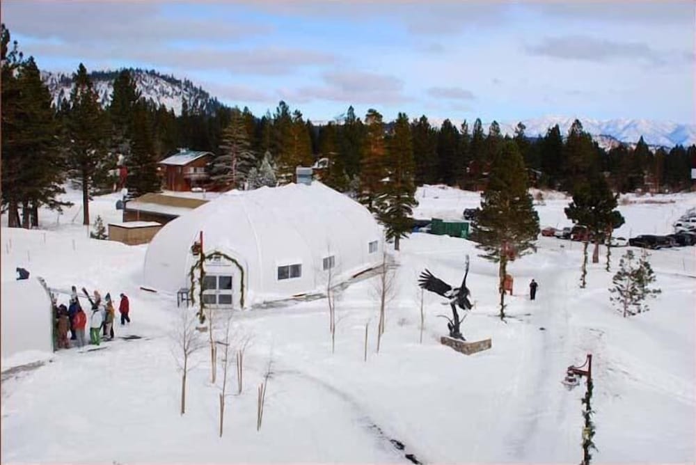 Juniper Springs Resort by null