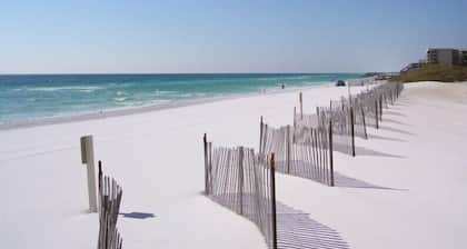 Surf Dweller 609 by Alicia Hollis Rental Open Aug 10 FREE ADVENTURES $300/Day