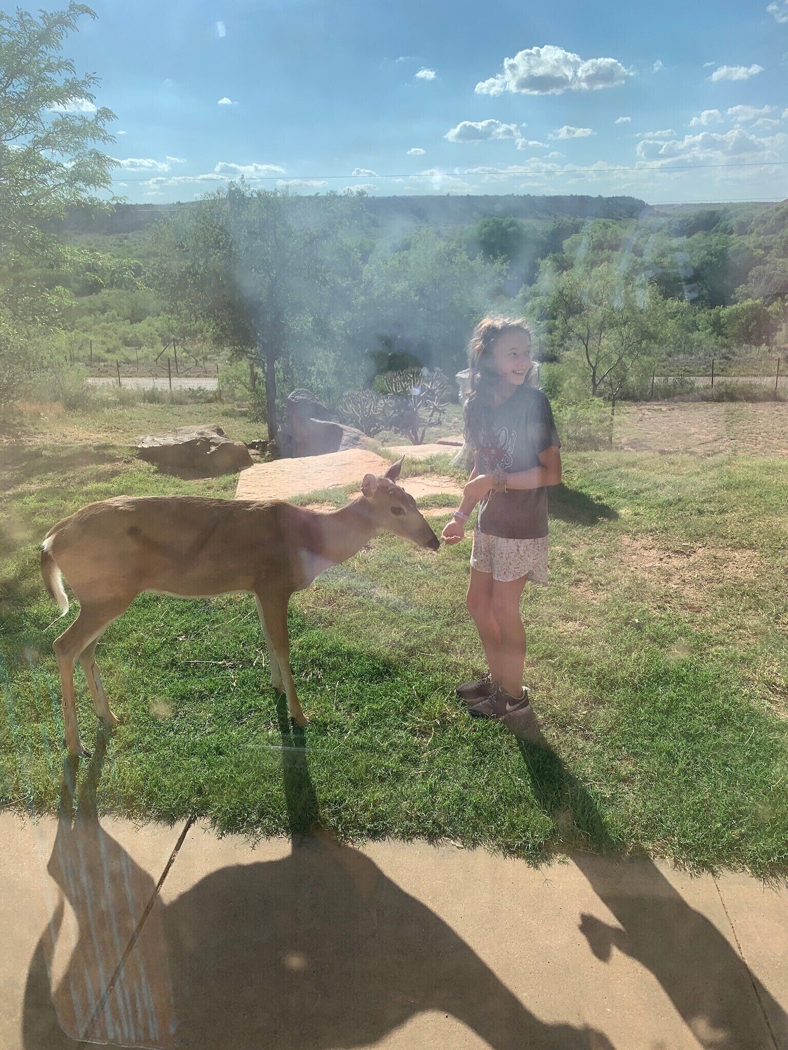 A child standing next to a deer in a grassy outdoor area with trees and a fence in the background.