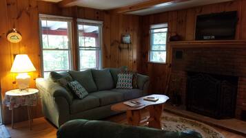 智能电视、壁炉、DVD 播放器、书